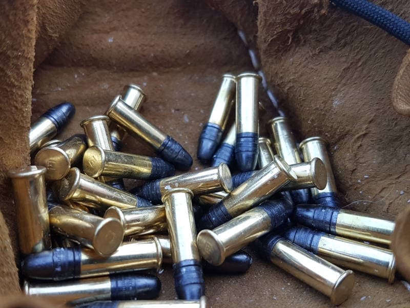 .22 Rimfire Cartridges